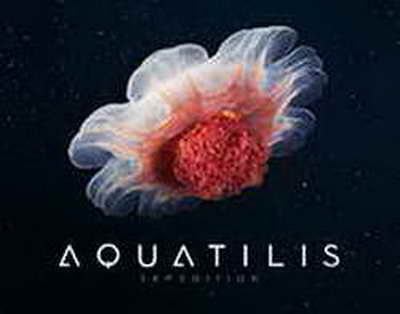 Инвесторлар неге Қазақстанды таңдайды?