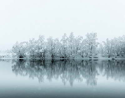 Балаева журналист Ботагөз Омарованың қамауға алынуына қатысты пікір білдірді